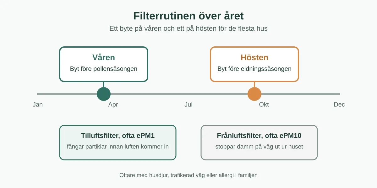 Tidslinje över året med filterbyte på våren före pollen och på hösten före eldningssäsongen, samt tilluftsfilter ePM1 och frånluftsfilter ePM10